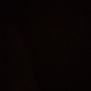 Meet your Posher, Leonilda